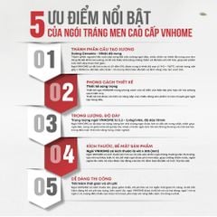 Ngói sóng tráng men VNHOME FUJISU