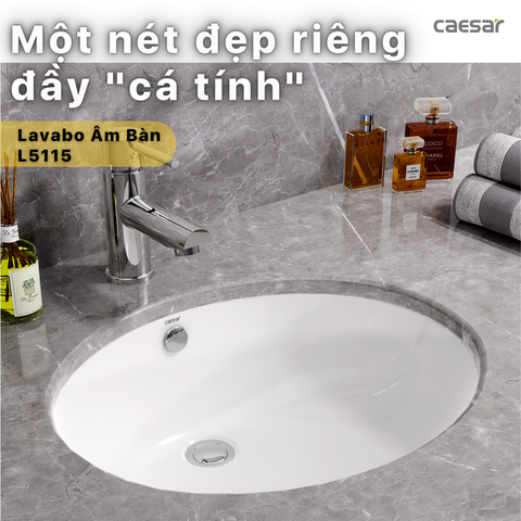 Chậu rửa âm bàn CAESAR L5115