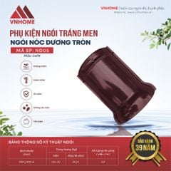 Ngói sóng tráng men VNHOME FUJISU