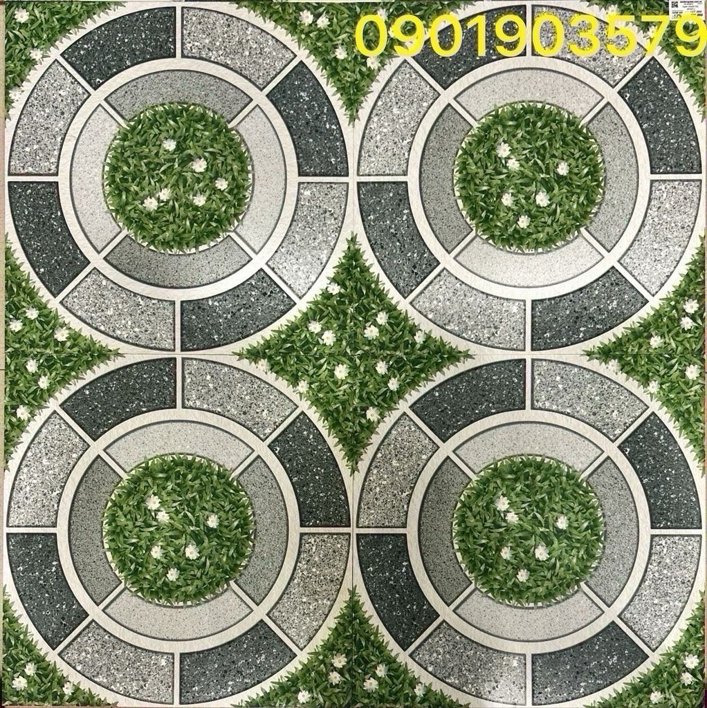 Gạch 50x50 DIC BD5813