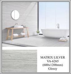 Gạch 60x120 Nhập Khẩu Ấn Độ 6265