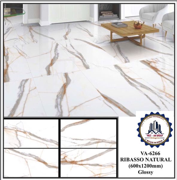 Gạch 60x120 Nhập Khẩu 6266
