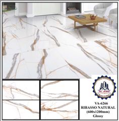 Gạch 60x120 Nhập Khẩu 6266