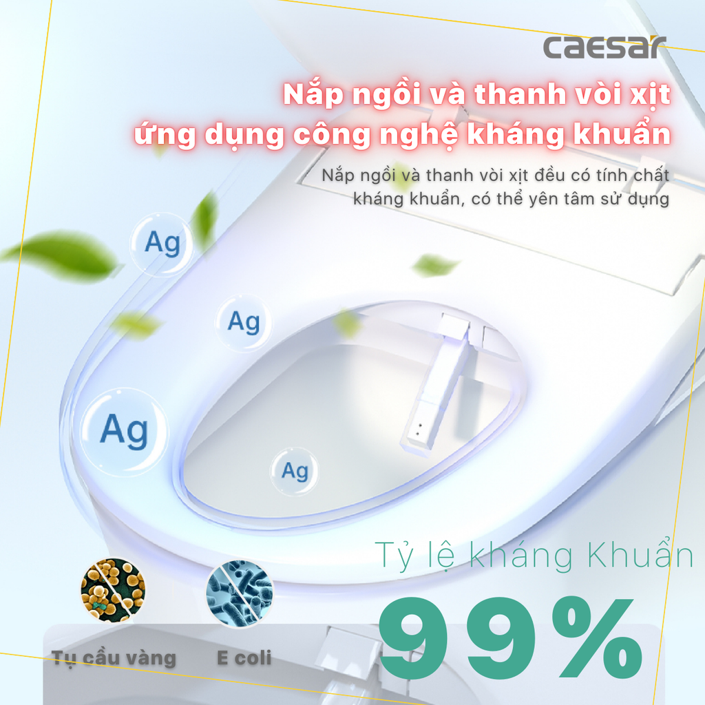 Nắp bàn cầu CAESAR TAF710H