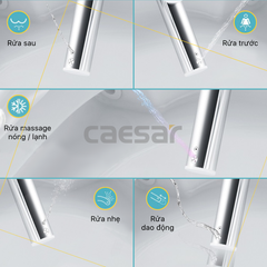 Nắp bàn cầu CAESAR TAF610H