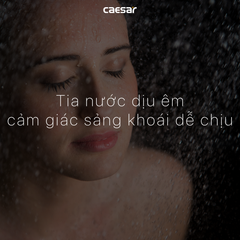 Tay sen 2 chế độ CAESAR SH223
