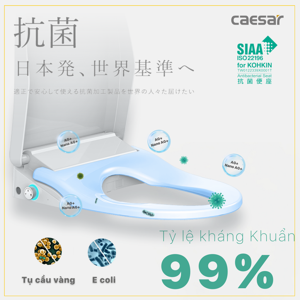 Nắp bàn cầu CAESAR TAF512H