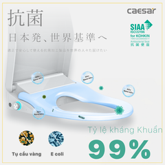 Nắp bàn cầu CAESAR TAF512H