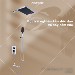 Sen tắm âm tường CAESAR BS659