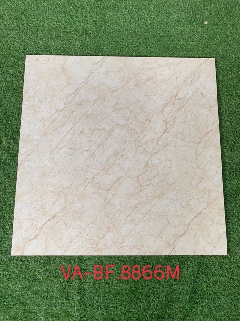 Gạch 80x80 Nhập Khẩu Ấn Độ 8866