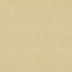 Gạch 80x80 Đồng Tâm 8080DB006
