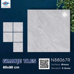 Gạch 80x80 Ý Mỹ N88067R