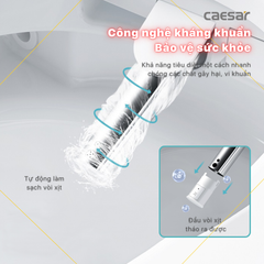 Nắp bàn cầu CAESAR TAF610H