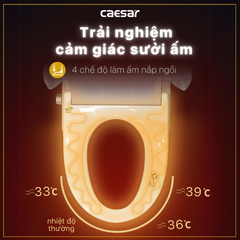 Nắp bàn cầu CAESAR TAF512H