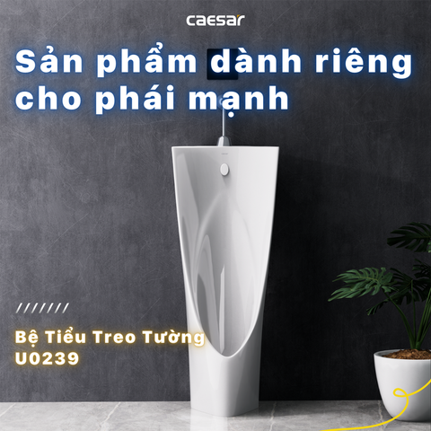 Bồn tiểu đứng CAESAR U0239