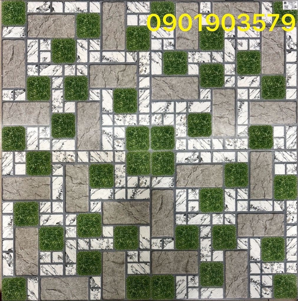 Gạch 50x50 DIC TSA5913