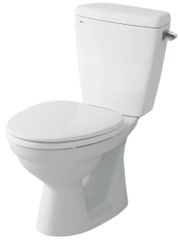 Bàn cầu hai khối INAX C-117VA
