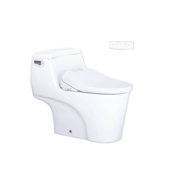 Bàn cầu một khối + Nắp rửa điện tử CAESAR C1353F+TAF610H