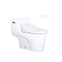 Bàn cầu một khối + Nắp rửa điện tử CAESAR C1353F+TAF610H