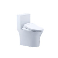 Bàn cầu một khối + Nắp rửa điện tử CAESAR C1391F+TAF400H