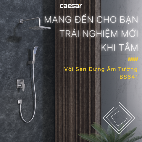 Sen tắm âm tường CAESAR BS641