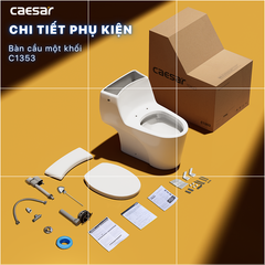 Bàn cầu một khối + Nắp rửa điện tử CAESAR C1353F+TAF610H