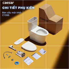Bàn cầu một khối + Nắp rửa điện tử CAESAR C1395F+TAF710H