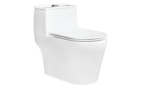 Bồn cầu một khối Thiên Thanh CK99