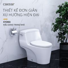 Bàn cầu một khối + Nắp rửa điện tử CAESAR C1353F+TAF610H