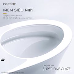 Bàn cầu một khối + Nắp rửa điện tử CAESAR C1353F+TAF610H