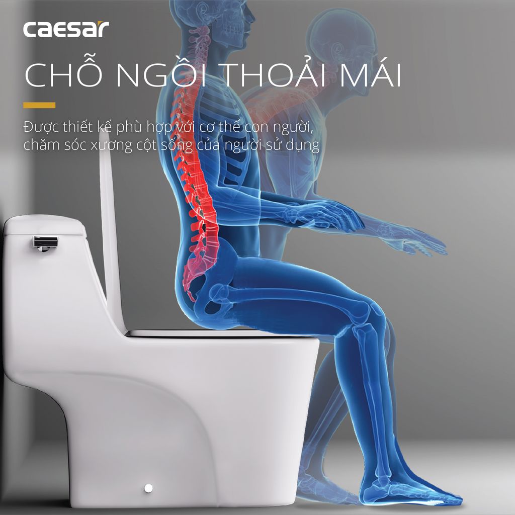 Bàn cầu một khối + Nắp rửa điện tử CAESAR C1353F+TAF610H