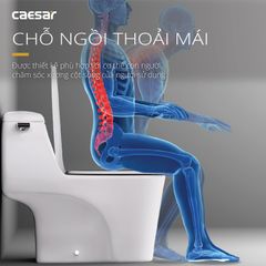 Bàn cầu một khối + Nắp rửa điện tử CAESAR C1353F+TAF610H