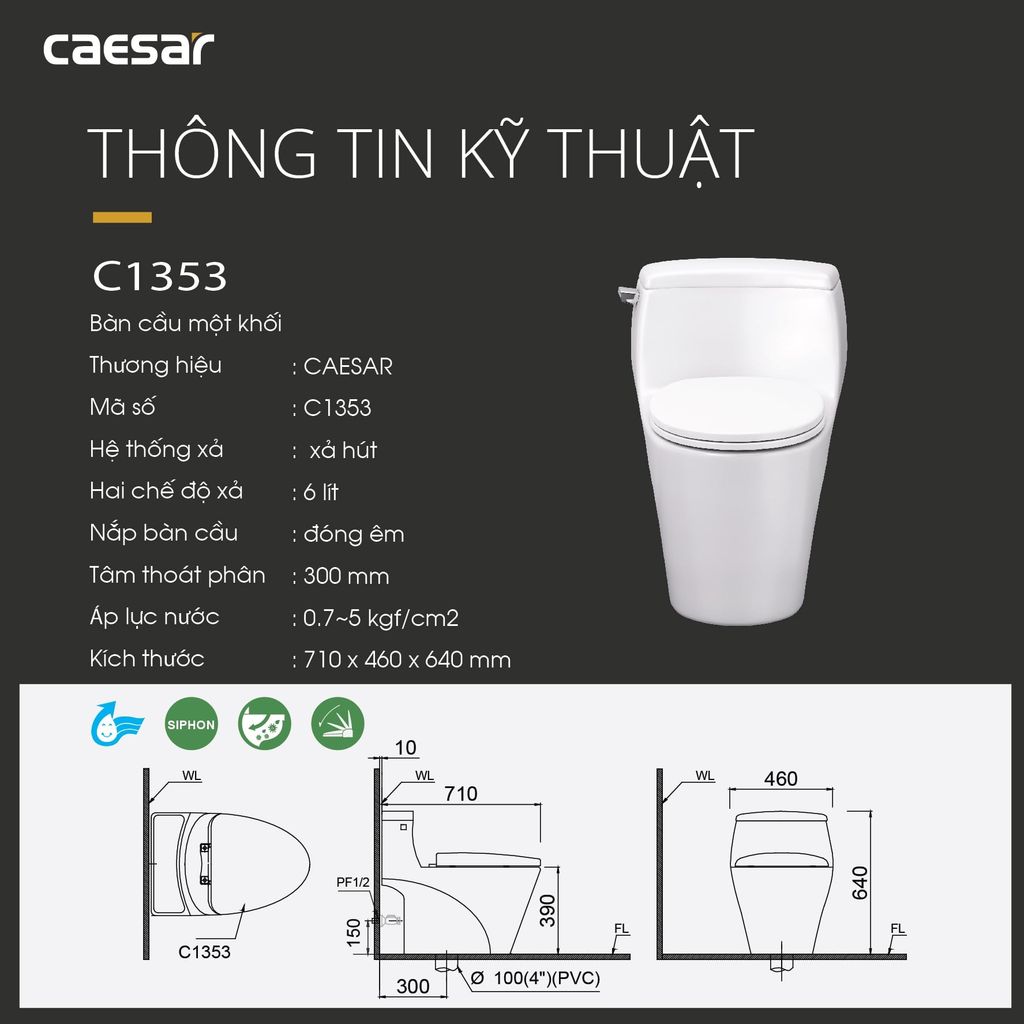 Bàn cầu một khối + Nắp rửa điện tử CAESAR C1353F+TAF610H