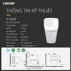 Bàn cầu một khối + Nắp rửa điện tử CAESAR C1353F+TAF610H