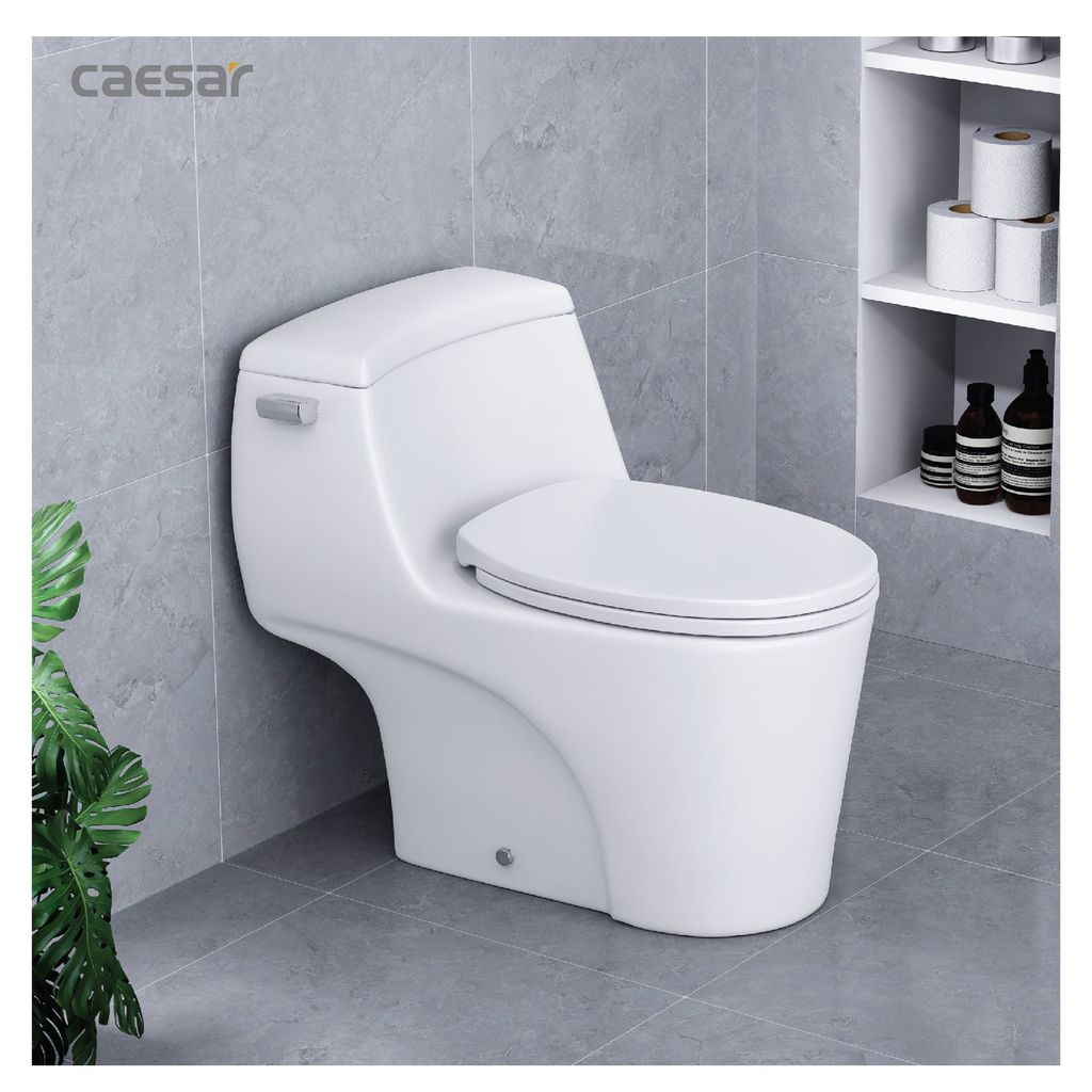 Bàn cầu một khối + Nắp rửa điện tử CAESAR C1353F+TAF610H