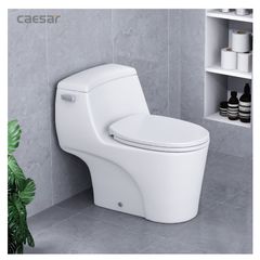 Bàn cầu một khối + Nắp rửa điện tử CAESAR C1353F+TAF610H