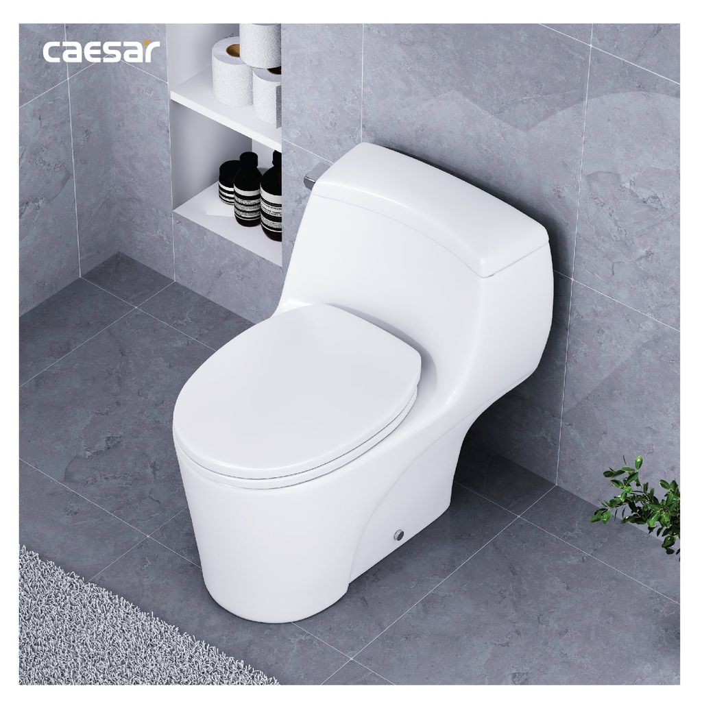 Bàn cầu một khối + Nắp rửa điện tử CAESAR C1353F+TAF610H