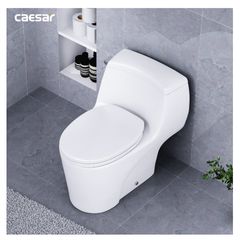 Bàn cầu một khối + Nắp rửa điện tử CAESAR C1353F+TAF610H