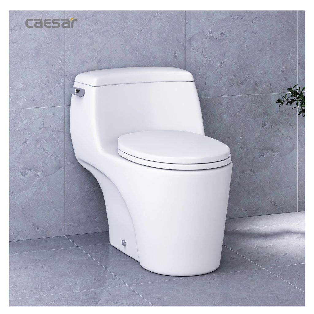 Bàn cầu một khối + Nắp rửa điện tử CAESAR C1353F+TAF610H