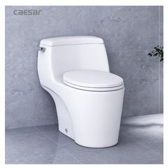 Bàn cầu một khối + Nắp rửa điện tử CAESAR C1353F+TAF610H