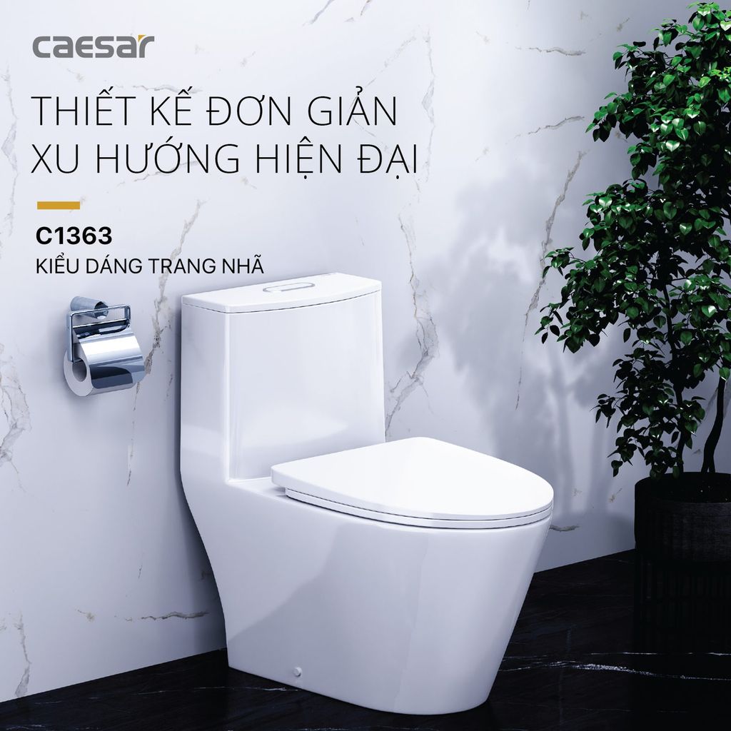 Bàn cầu một khối + Nắp rửa điện tử CAESAR C1363F+TAF512H
