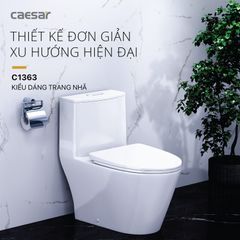 Bàn cầu một khối + Nắp rửa điện tử CAESAR C1363F+TAF512H