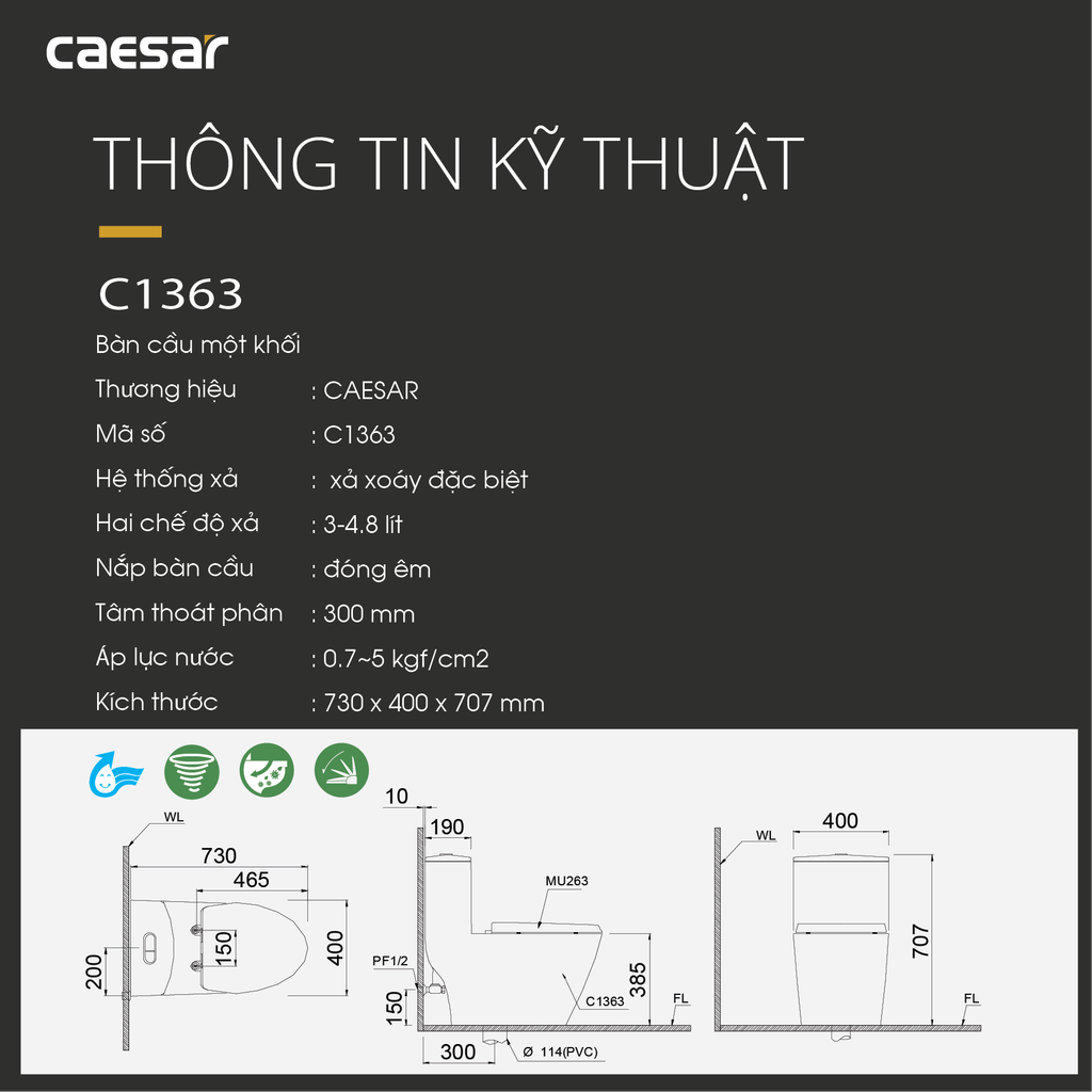 Bàn cầu một khối + Nắp rửa điện tử CAESAR C1363F+TAF512H
