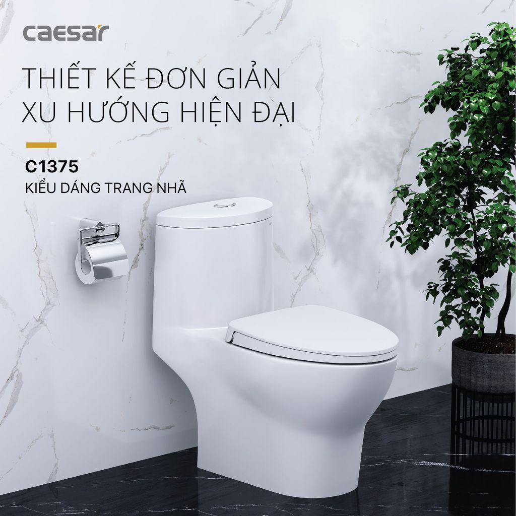 Bàn cầu một khối + Nắp rửa điện tử CAESAR C1375F+TAF512H