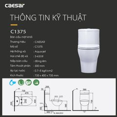 Bàn cầu một khối + Nắp rửa điện tử CAESAR C1375F+TAF512H