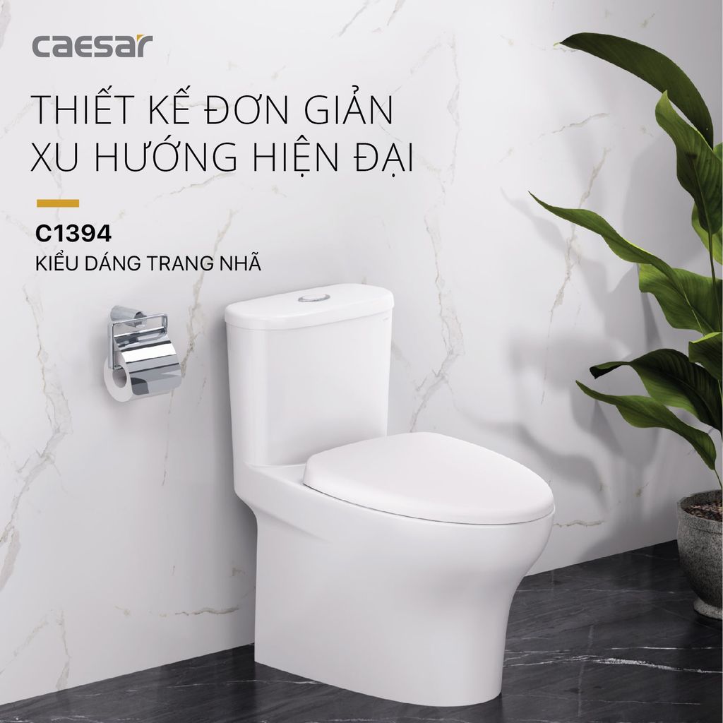 Bàn cầu một khối + Nắp rửa điện tử CAESAR C1394F+TAF512H