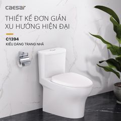 Bàn cầu một khối + Nắp rửa điện tử CAESAR C1394F+TAF512H
