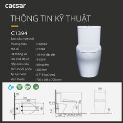 Bàn cầu một khối + Nắp rửa điện tử CAESAR C1394F+TAF512H