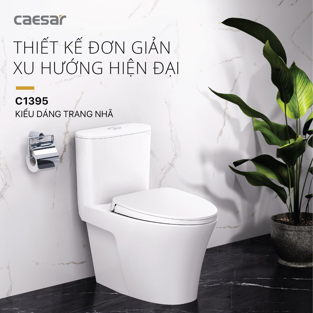 Bàn cầu một khối + Nắp rửa điện tử CAESAR C1395F+TAF710H