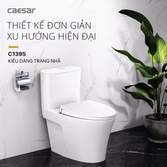 Bàn cầu một khối + Nắp rửa điện tử CAESAR C1395F+TAF710H